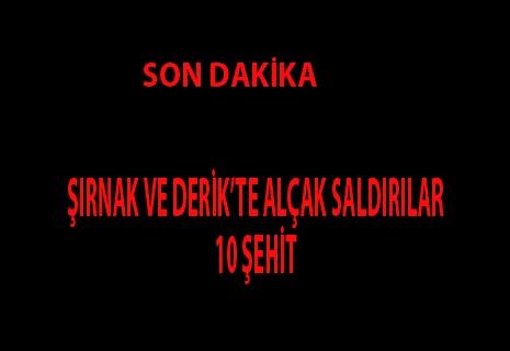 DERİK VE ŞIRNAK'TA HAİN SALDIRI