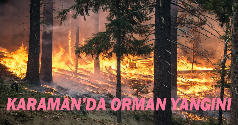 Karaman'da Orman Yangını