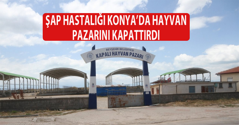 Şap Hastalığı Konya'da Hayvan Pazarını Kapattırdı