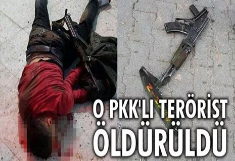3 polisi şehit eden PKK'lı terörist öldürüldü