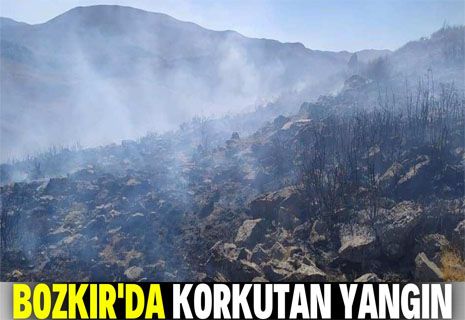 Bozkır Sarıot Yaylası'nda korkutan yangın