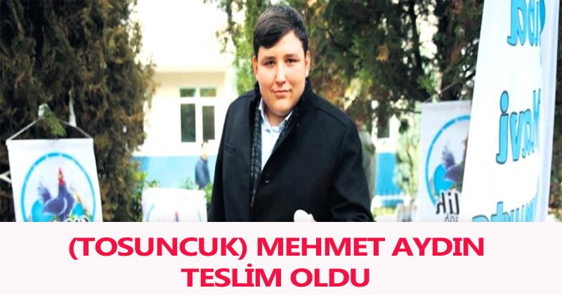 (Tosuncuk) Mehmet Aydın Teslim Oldu