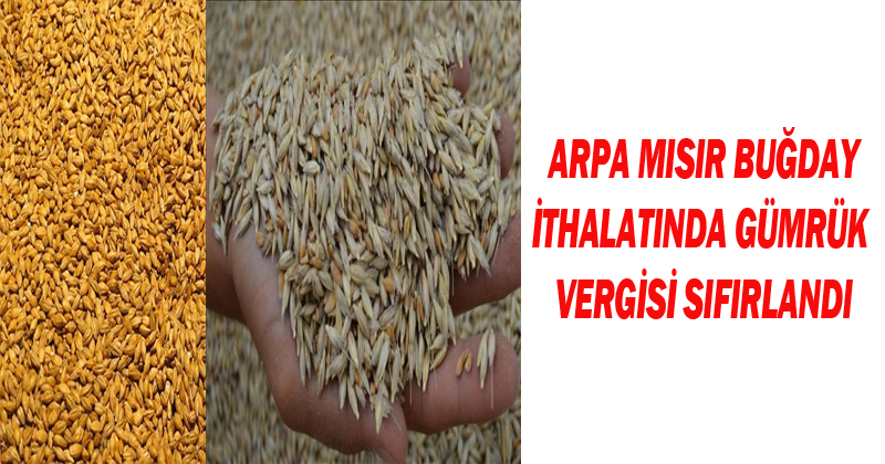 Buğday, Arpa, Mısır İthalatında Gümrük Vergisi Sıfırlandı