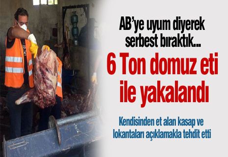 6 ton kaçak domuz eti ile yakalandı: serbest