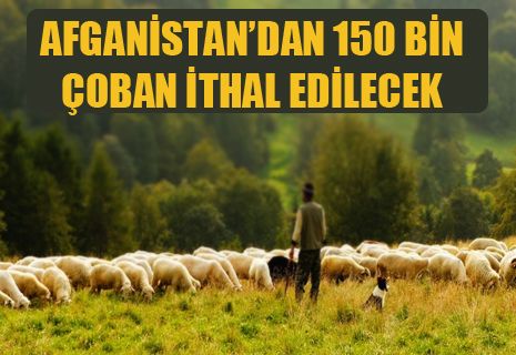 Afganistan’dan 150 bin çoban ithal edilecek