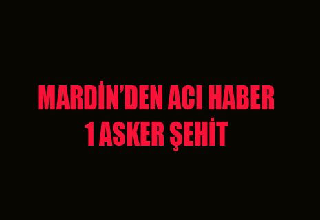 MARDİN'DEN ACI HABER 1 ASKER ŞEHİT